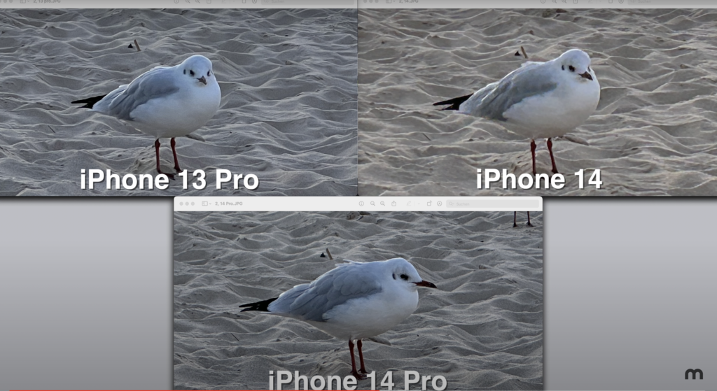 Zoom Vergleich iPhone 14, iPhone 13 Pro und iPhone 14 Pro